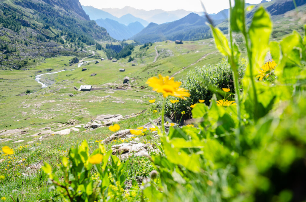 Salita al Mont Glacier in Valle di Champorcher (AO)