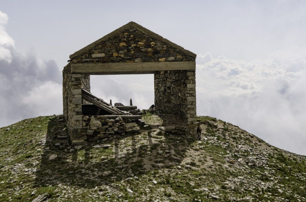 Cima delle Monache (2550 m)