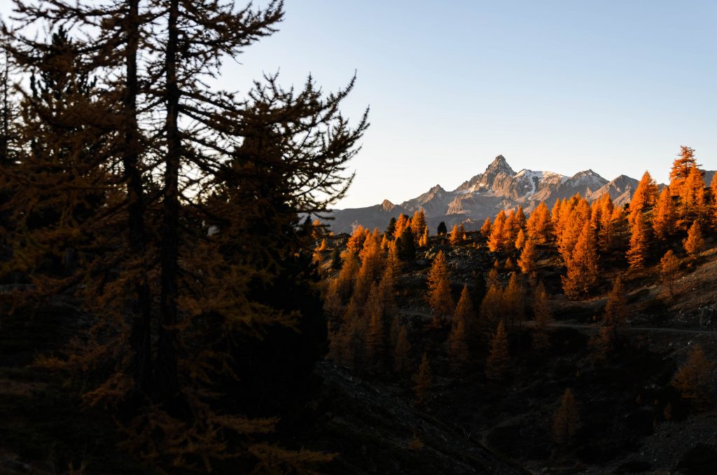 Foliage dal Lago dei Sette Colori al Monte Gimont