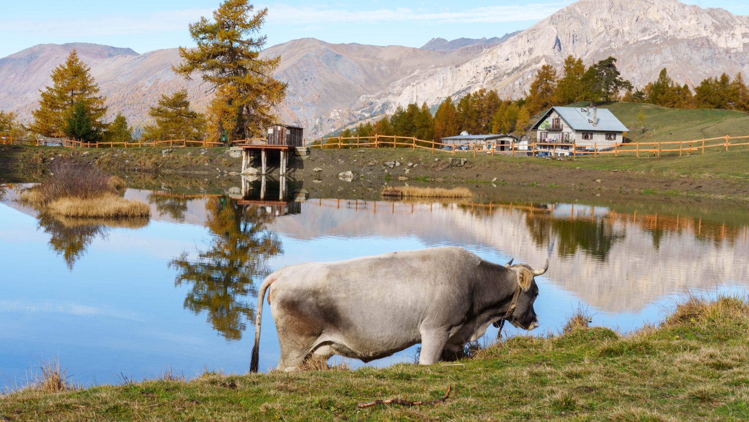 Foliage al Lago Laune e Monte Genevris