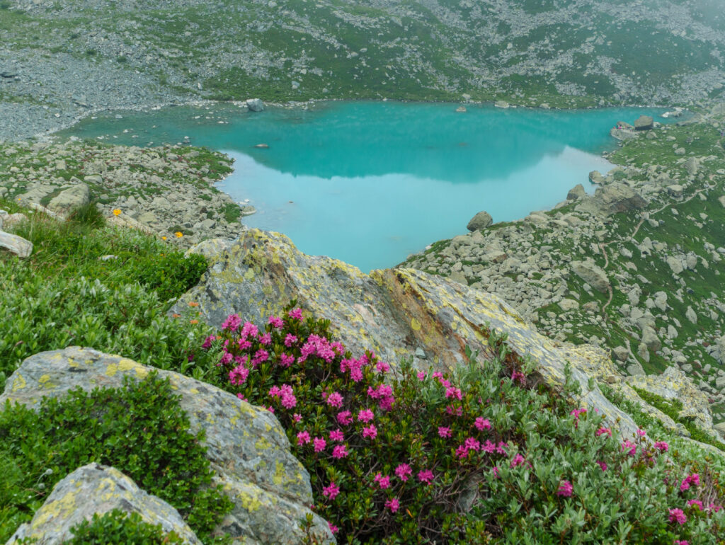 Viso Mozzo e Rifugio Quintino Sella